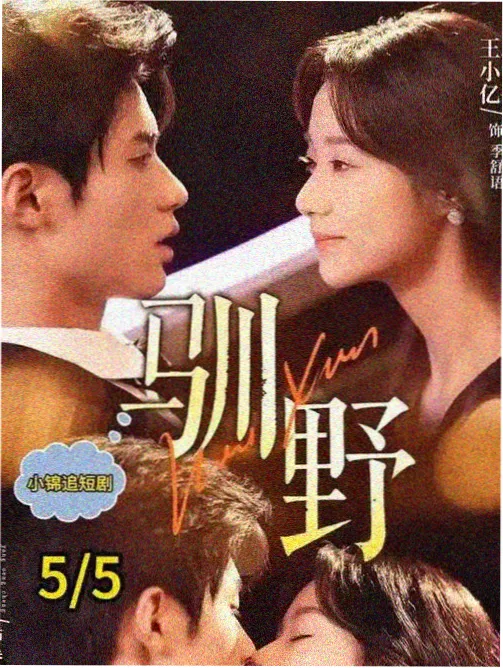 隐秘的角落 悬疑剧